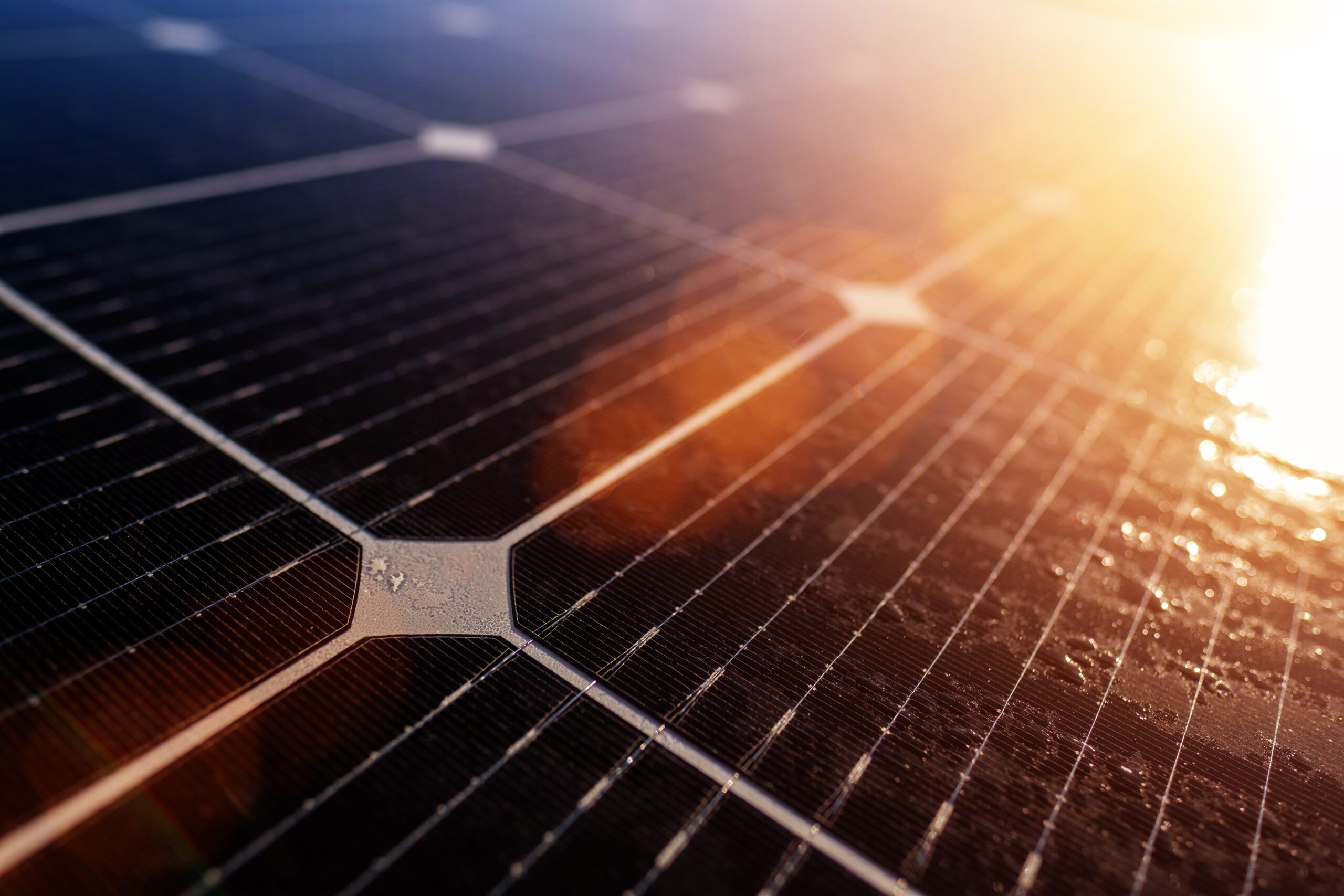 NZ Solar Buyback Rates